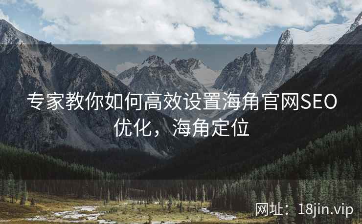 专家教你如何高效设置海角官网SEO优化，海角定位