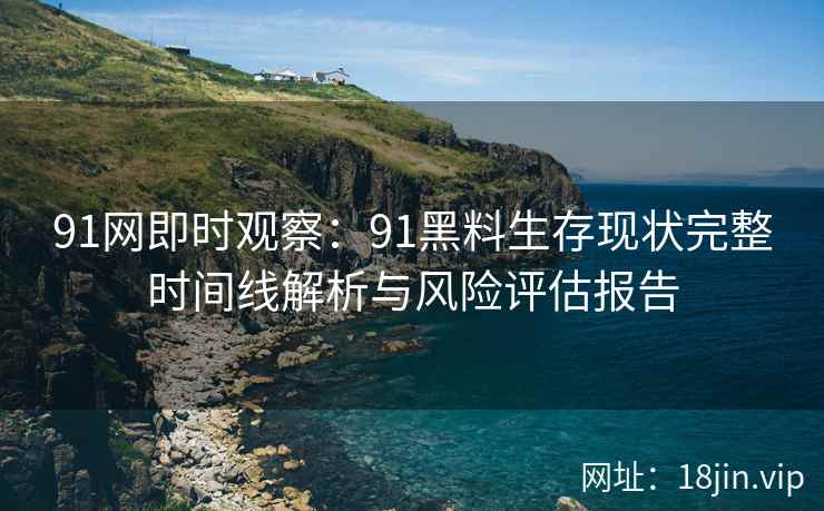 91网即时观察：91黑料生存现状完整时间线解析与风险评估报告