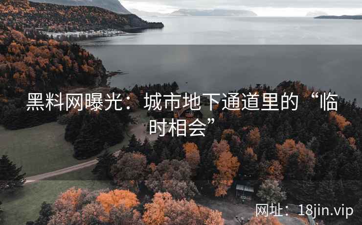 黑料网曝光：城市地下通道里的“临时相会”