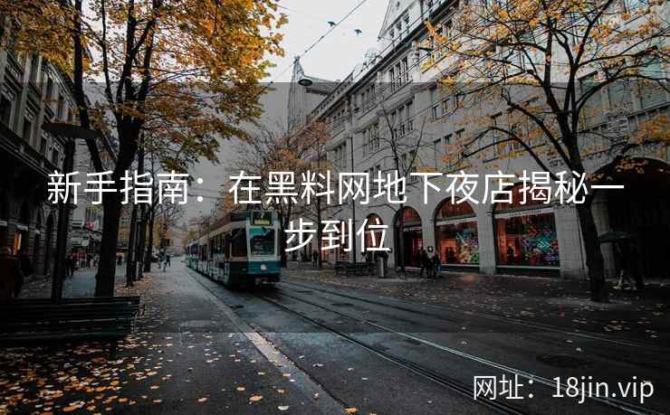 新手指南：在黑料网地下夜店揭秘一步到位