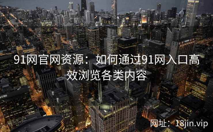 91网官网资源：如何通过91网入口高效浏览各类内容