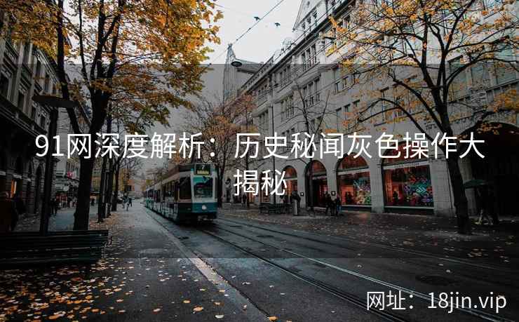 91网深度解析：历史秘闻灰色操作大揭秘