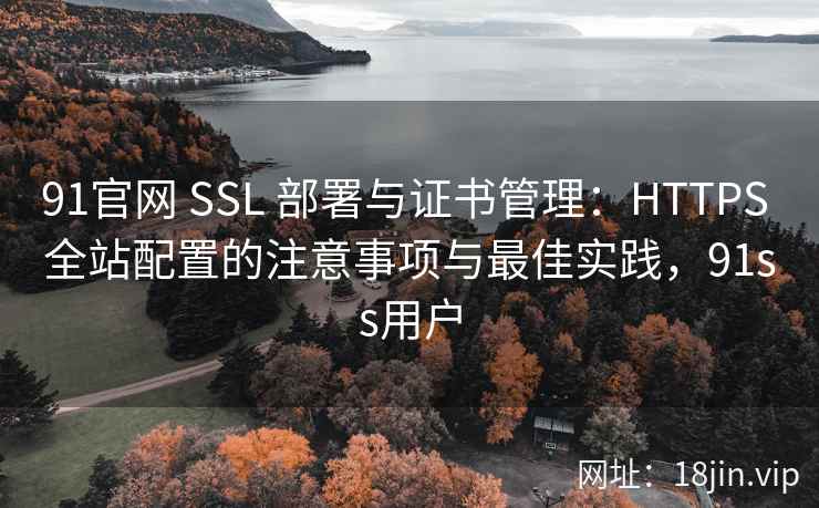 91官网 SSL 部署与证书管理:HTTPS 全站配置的注意事项与最佳实践,91ss用户 91官网 SSL 部署与证书管理:HTTPS 全站配置的注意事项与最佳实践,91ss用户