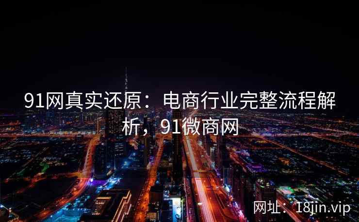 91网真实还原:电商行业完整流程解析,91微商网